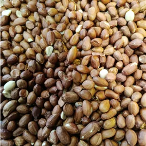 بادام زمینی قرمز نیم کیلویی