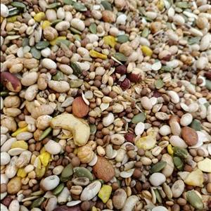 آجیل سلامت یک کیلویی