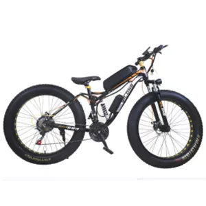 دوچرخه برقی ییلانگ Yilong E-bike