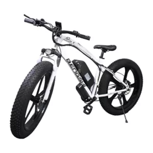 دوچرخه برقی جگوار Jaguar E-bike Bengshi