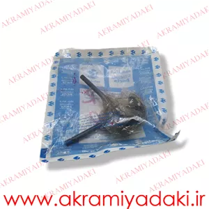 صفحه کلاج اپاچی TVS