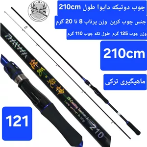 چوب ماهیگیری دوتیکه کربن دایوا
