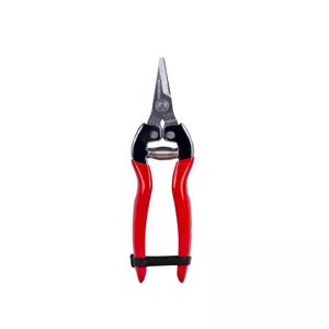 قیچی میوه چین سرکج کوتاه توسن مدل T5500 سایز 6.5 اینچ