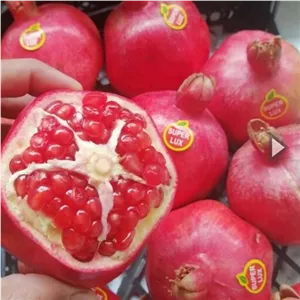 لیبل میوه انار