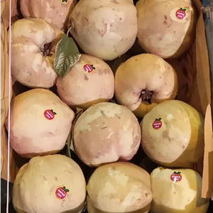 لیبل میوه به