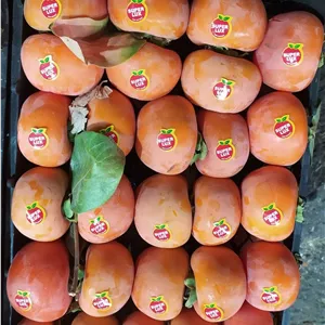 لیبل میوه خرمالو