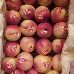لیبل میوه شلیل