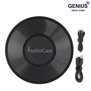 پخش کننده وایرلس AudioCast