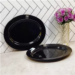 T421 دیس بزرگ مشکی پردیس ماهان (12)