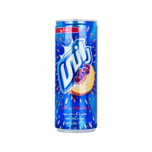 آبمیوه قوطی با تکه های میوه هلو رانی 240ml ( 24عددی)