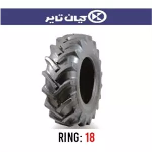 
  لاستیک بیل بکهو کیان تایر(البرز) مدل 850 (گل عقب، 14لایه) سایز 12.5/80R18
 