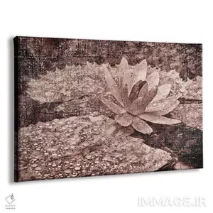 تابلو دکوراتیو حوضچه نیلوفر ۵ اثر دنیس فراتس