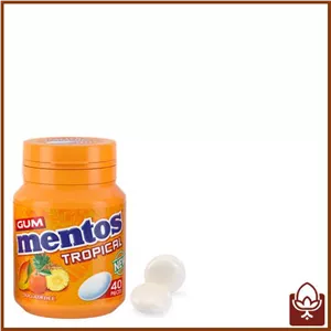 آدامس مغزدار 56 گرمی منتوس هلندی - استوایی