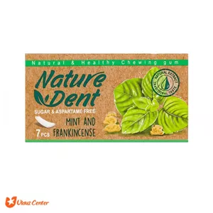 آدامس بدون شکر Nature Dent با طعم نعناع 7 عددی