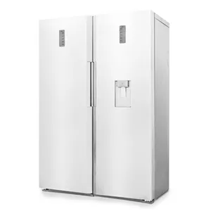 یخچال دوقلو دوو مدل DL-2030