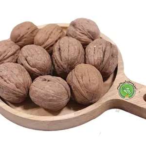 گردو پوست کاغذی خارجی