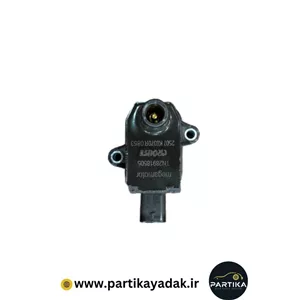 کوئل شاهین کروز