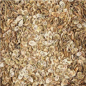 گلپر تازه | 100 گرم قویت حافظه، بهبود هضم و کاهش فشار خون
