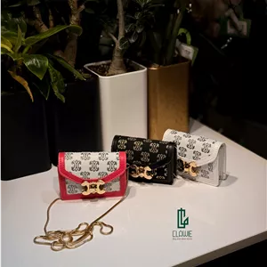 کیف مینی بگ دخترانه  : دوشی