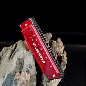 ساز دهنی هارمونیکا DMTS دیاتونیک ده سوراخ آموزشی