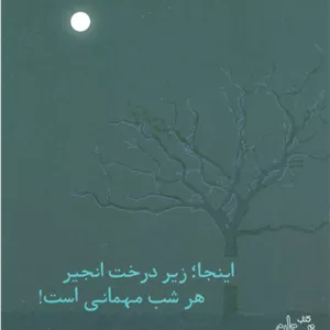 اینجا زیر درخت انجیر هر شب مهمانی است