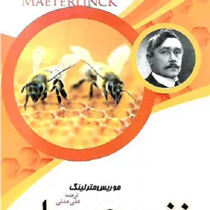 زنبور عسل