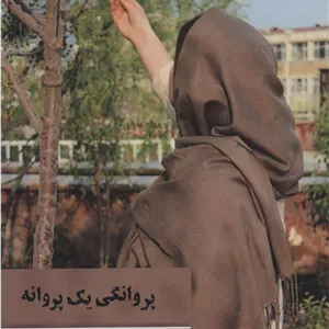 پروانگی یک پروانه