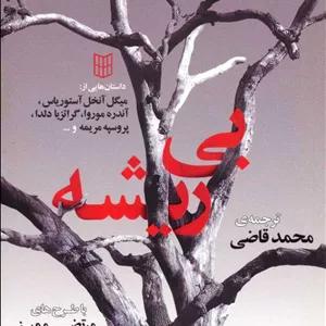 کتاب بی ریشه اثر جمعی از نویسندگان انتشارات کتاب پنجره