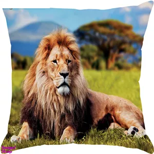 پاف مدل S4-10850 چند رنگ