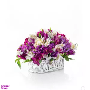 سبد گل آلسترومریا رنگارنگ ( کوچک )