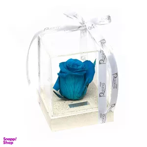 جعبه رز جاودان روبینا رز (Robina Rose) مدل تک گل پایه سنگی