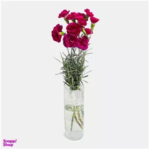 دسته گل طبیعی میخک رنگ بنفش