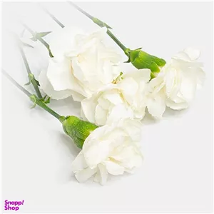 دسته گل طبیعی میخک رنگ سفید
