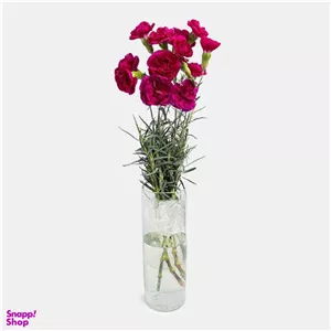 دسته گل طبیعی میخک مدل Li012 رنگ بنفش