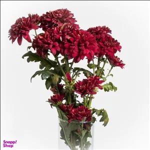 دسته گل طبیعی داوودی مدل Li004 رنگ قرمز