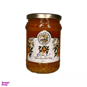 عسل بهار نارنج طبیعی ورجین عروجی وزن 800 گرم