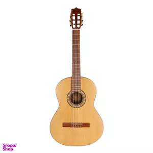 گیتار پارسی مدل P70 کد 4 همراه با کاور