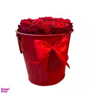 باکس گل رز طبیعی مدل ژوبین