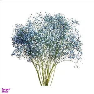 دسته گل طبیعی ژیپسوفیلا کوچک رنگ آبی