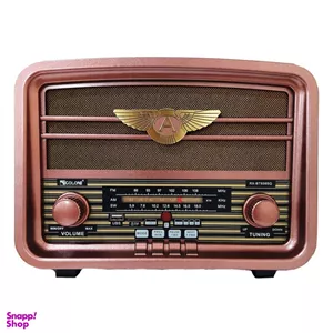 رادیو اسپیکر گولون مدل RX-BT939