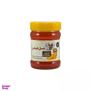 عسل آویشن طبیعی زاگرس رضا وزن 470 گرم