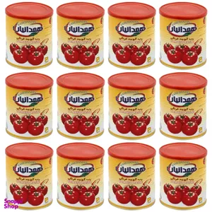 کنسرو رب گوجه فرنگی همدانیان وزن 800 گرم بسته 12 عددی