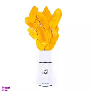 انبه خشک ورقه ای بارجیل