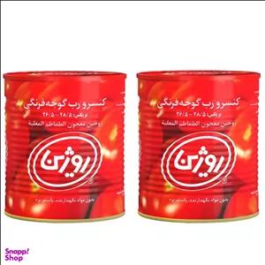 رب گوجه فرنگی روژین وزن 800 گرم بسته ۲ عددی