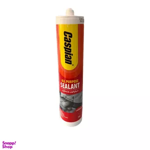 چسب آکواریوم کاسپین مدل همه کاره رنگ شفاف وزن 330 گرم