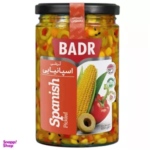 ترشی اسپانیایی بدر وزن 650 گرم