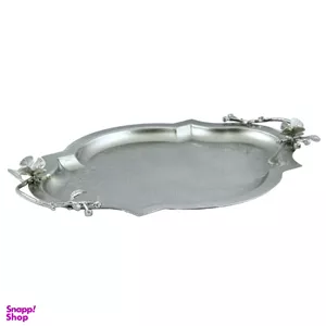 سینی سالینو کد N-6084