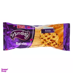 کیک کشمشی مورنینگ شیرین عسل وزن 100 گرم