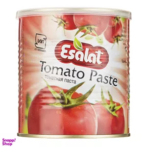 رب گوجه فرنگی اصالت وزن ۸۰۰ گرم