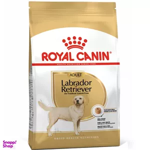 غذای خشک سگ رویال کنین مدل Labrador Retriever وزن 12 کیلوگرم